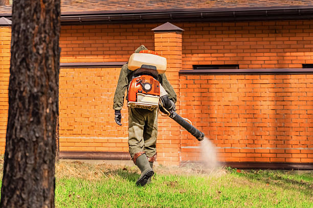 Trusted Termite Control service in Sierra View, PA - Nex Pest Control